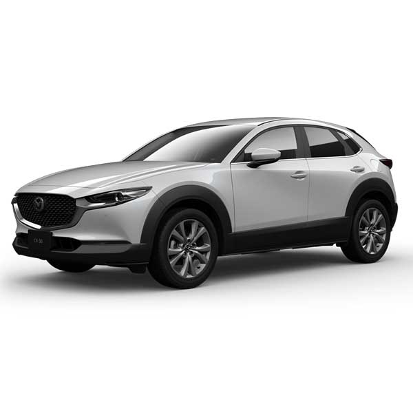 中型乗用車(3ナンバー)